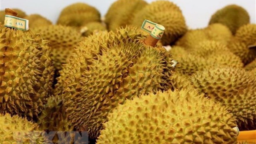 Durian export brings home US$1.63 billion in 9 months